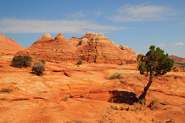 DSC_2721.jpg (4288x2848) NIKON D300 - 18-200mm f/3.5-5.6 // F9 // 1/320 sec // ISO 200 // 24,0 mm // no Flash // 2008:07:17 09:25:15 DSC_2721.jpg (4288x2848) NIKON D300 - 18-200mm f/3.5-5.6 // F9 // 1/320 sec // ISO 200 // 24,0 mm // no Flash // 2008:07:17 09:25:15